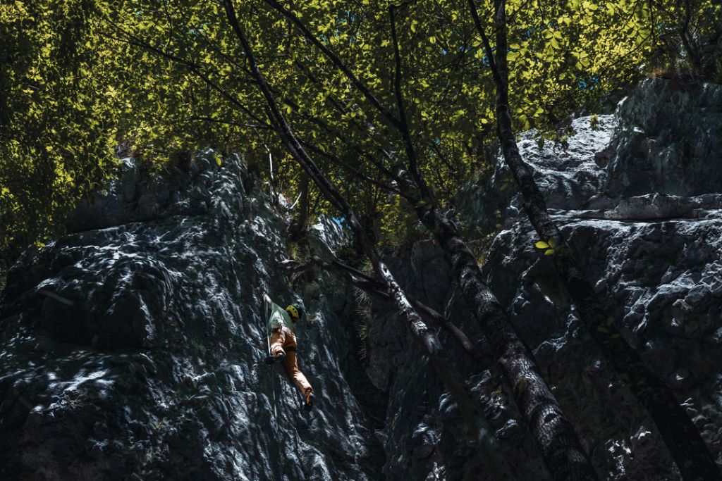Arrampicatore in falesia sotto le fronde del bosco