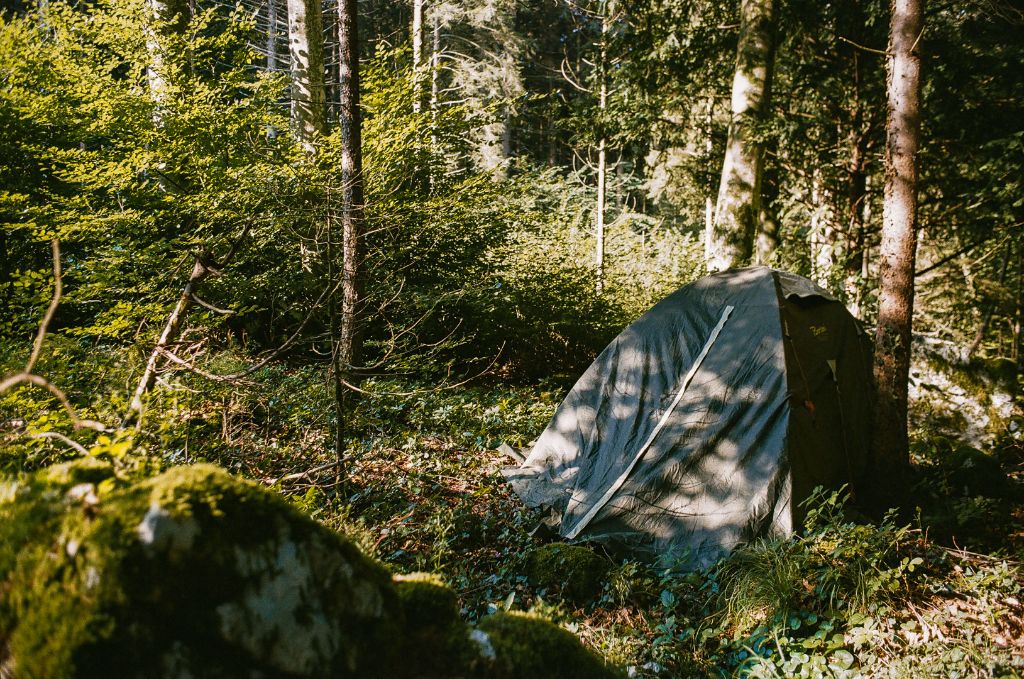 Tenda nel bosco